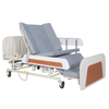 Maidesite E39 Electric Multifunction Nursing Bed